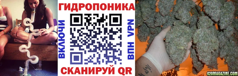 Шишки марихуана план  нарко площадка какой сайт  Каменногорск 
